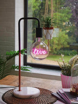 LED Neon Text Lamp Live