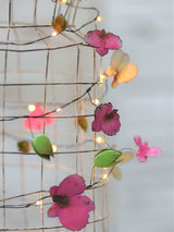 Orchid Botanical Lights
