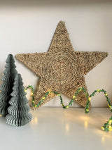 Set of 2 Woven Star Placemats